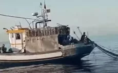 Illegale visserij in Spanje: Marokko kondigt sancties aan (video)