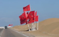 "Over Sahara-kwestie mag geen enkel compromis met Algerije worden gesloten"