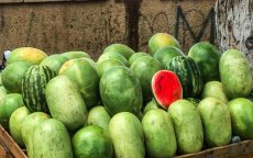 Turkije overklast, Marokko is de nieuwe watermeloenmacht 