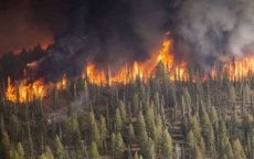 Bosbrand in Taza: brandweer en blusvliegtuigen ingezet 