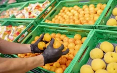 Marokko betovert Europa met groenten en fruit, behalve Nederland en Rusland