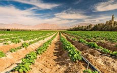 Marokko leent opnieuw geld om droogte te bestrijden