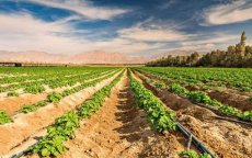 Marokko leent opnieuw geld om droogte te bestrijden