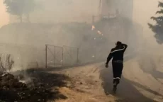 Bosbranden in Algerije: de reactie van Marokko