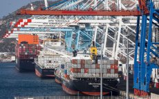 Marokkaanse exportmachine draait op volle toeren, record!
