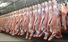 Marokkaanse leger koopt 4000 ton vlees uit Brazilië