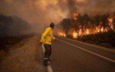 Drie brandweermannen omgekomen bij bosbrand in M'diq