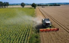 "Marokkaanse kunstmes kankerverwekkend, stop import"