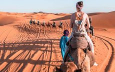 Toerisme: ondernemers doen noodoproep aan Koning Mohammed VI