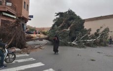 Noodweer verwacht in diverse regio's van Marokko