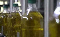 Onrust in Marokko door dure en vervalste olijfolie