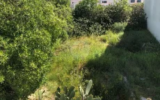 Strenge controles op onbebouwd grond in Tanger, stad wil miljoenen terug