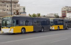 Botsing tussen lijnbussen in Casablanca, tientallen gewonden