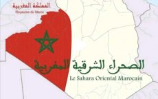 Oostelijke Marokkaanse Sahara : Algerijnse media hekelt "provocatie"