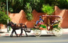 Marrakesh zonder paardenkoets is geen Marrakesh
