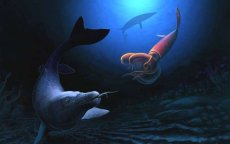 Marokko: ontdekking 66 miljoen jaar oude mosasaurus