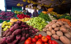 Exportstop leidt tot sterke daling groenteprijzen in Marokko