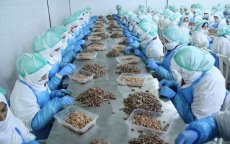 Fnideq: nieuw recyclage-eenheid levert 3000 banen op