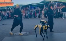 Dansende robothond op Djemaa el-Fna plein (video)