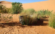 Dood Rayan: Saoedi-Arabië beveiligt duizenden waterputten 