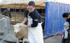 Offeren schaap steeds moeilijker voor moslims in Nederland