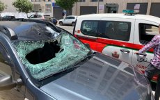 Eid ul-Adha: schaap springt van 7e verdieping in Tetouan