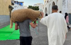 Sebta bespreekt verbod op Eid ul-Adha