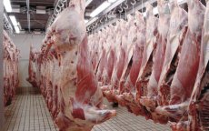 Vlees in Marokko gevaarlijk? Minister antwoordt 