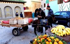 Marokko wil kader voor integratie straatverkopers