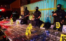 Tanger: 1335 kilo cocaïne onderschept op cruiseschip op weg naar Antwerpen