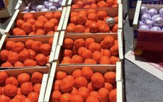 Marokko onderschept drugslading in sinaasappels 