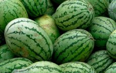 Marokko: meerdere steden verbieden teelt watermeloen