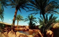 Toerisme: Algerije, toekomstige concurrent van Marokko?