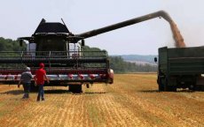 Maatregelen tegen tarwe in Rusland: moet Marokko zich zorgen maken?