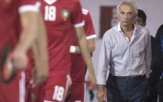 Vahid Halilhodzic "bereid af te treden"