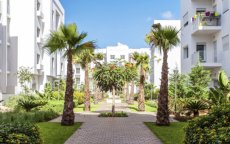 Vastgoed Marokko: Rabat stijgt, Casablanca en Tanger kelderen