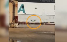 Ferry ramt kade in Algeciras, paniek onder passagiers