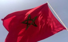 Britse partijleider roept op tot erkenning Marokkaanse Sahara
