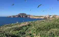 Spaanse rechtbank doet uitspraak over Marokkaanse viskwekerijen bij Islas Chafarinas