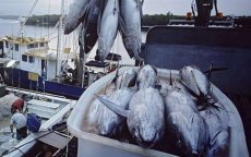 Russische schepen mogen in Marokkaanse wateren vissen