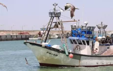 Hernieuwing visserijovereenkomst EU-Marokko: een uitdaging voor Spanje