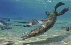 'Spookachtige' voorouder van oude zeekrokodillen ontdekt in Marokko