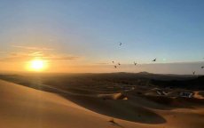 Kan een vrouw alleen reizen in Marokko? Amerikaanse geeft antwoord