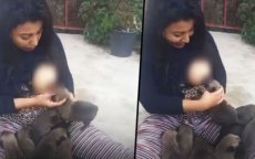 Ophef in Marokko: vrouw geeft puppy's borstvoeding (video)