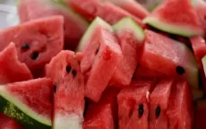 Marokkaanse watermeloen domineert Europese markt