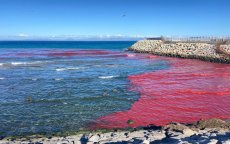 Zeewater in Tanger plots rood, autoriteiten reageren (video)
