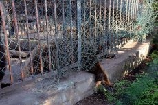 Zoo Ain Sebaa wreed met dieren 