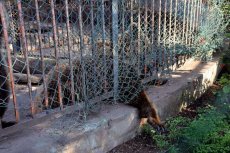 Zoo Ain Sebaa wreed met dieren 