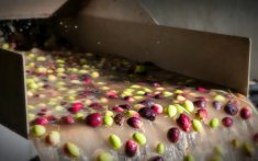 Olijfolie-afvalwater wordt goud: de Marokkaanse ontdekking
