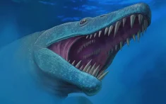 Prehistorisch superroofdier ontdekt in Marokko